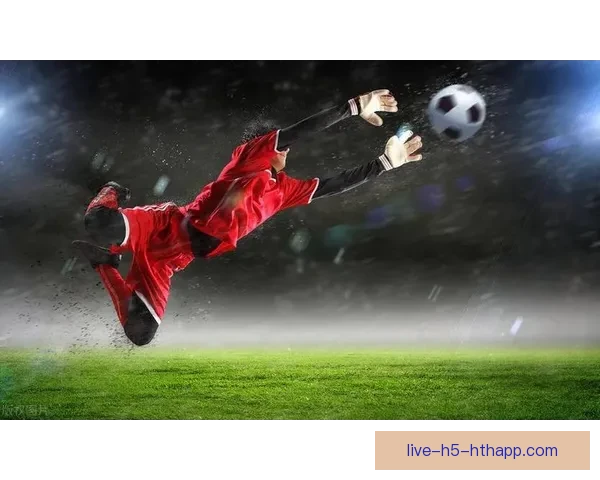 尽享新浪足球视频直播精彩赛事实时更新与全面分析